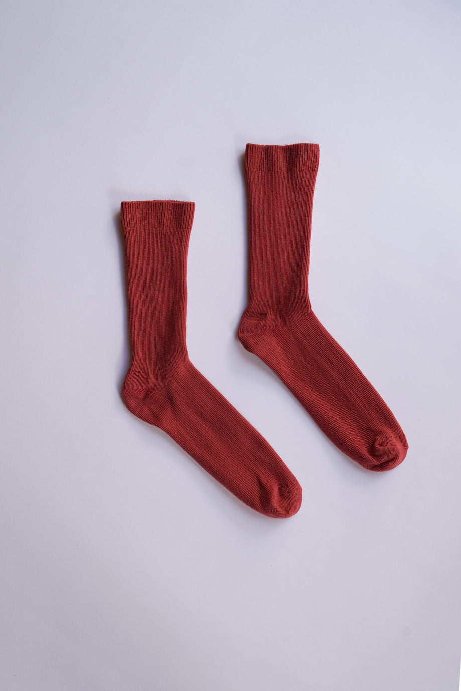 THIN SOCK, carmine