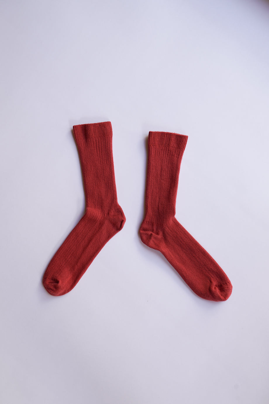 THIN SOCK, carmine